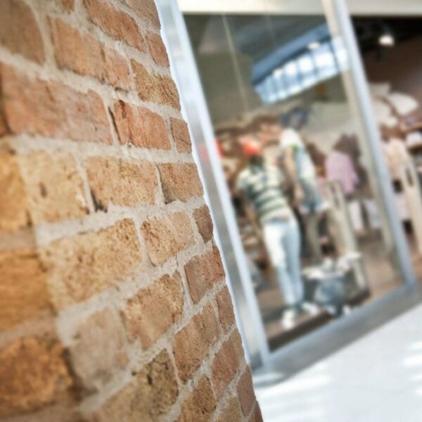 The Key Retail Segments for Brick and Mortar Growth