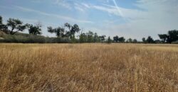 Land Near Interstate 94 off Exit 138