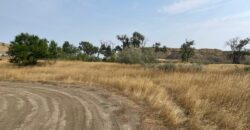 Land Near Interstate 94 off Exit 138