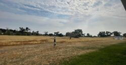 Land Near Interstate 94 off Exit 138