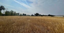 Land Near Interstate 94 off Exit 138