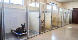 Premier Dog Kennel