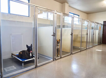 Premier Dog Kennel