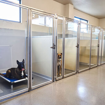 Premier Dog Kennel