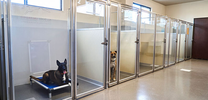 Premier Dog Kennel