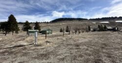9 Fopar Ln, Cameron MT