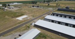 6836 Cowgirl Way, Multiple Units