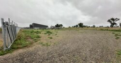 6821 Cowgirl Way #5