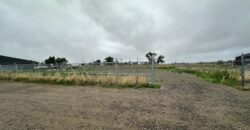 6821 Cowgirl Way #5