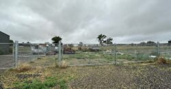 6821 Cowgirl Way #5