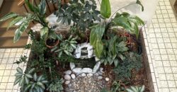 2108 Broadwater Ave, Ste 208