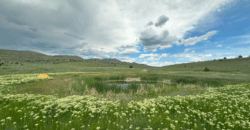 1670 Perry’s Way, Manhattan MT