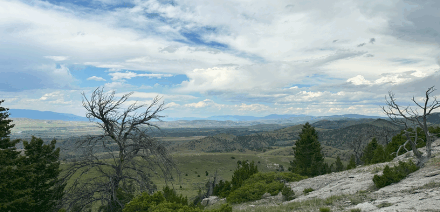 1670 Perry’s Way, Manhattan MT