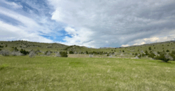 1670 Perry’s Way, Manhattan MT