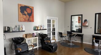 Salon Business For Sale