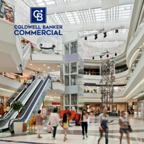 Malls: Why Some Thrive While Others Collapse